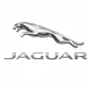 JAGUAR_50df669c75465.jpg