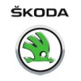 SKODA_50df6849dd830.jpg