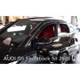 Audi_Q5_Deflecto_5437807902412.jpg